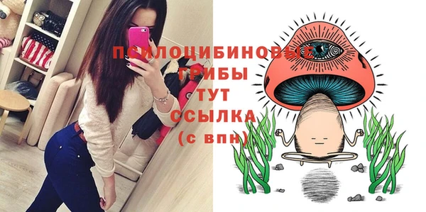 бошки Баксан