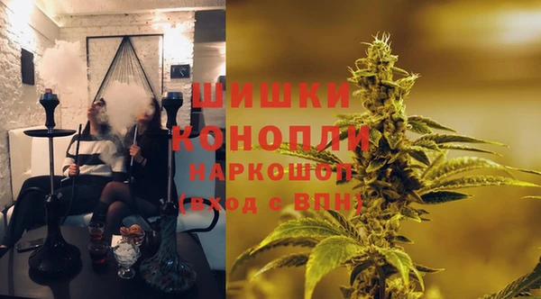 индика Алзамай