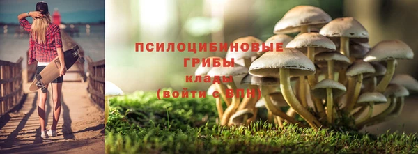 соль ск Балахна