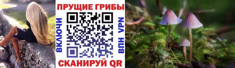 Галлюциногенные грибы Magic Shrooms  Оханск 