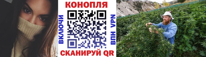 Бошки марихуана MAZAR  Оханск 